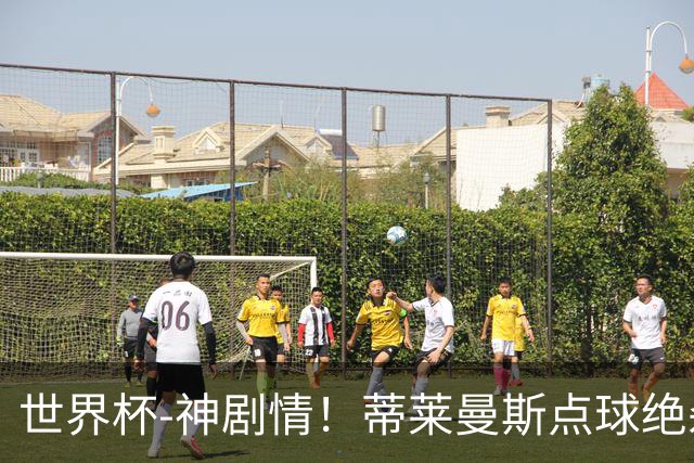 世界杯-神剧情！蒂莱曼斯点球绝杀 比利时加时3-2塞内加尔