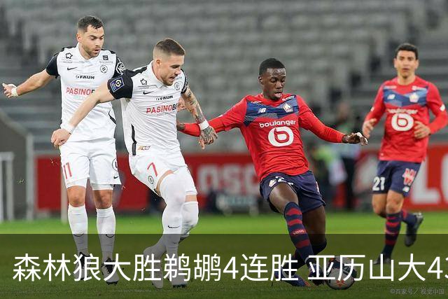 森林狼大胜鹈鹕4连胜 亚历山大43分雷霆克骑士